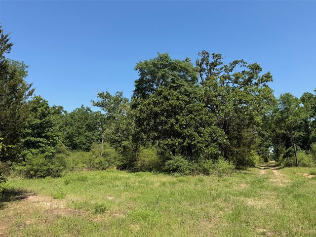 TBD Highway 75 South, Buffalo, TX 75831