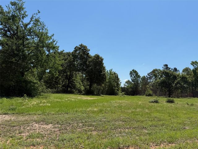 TBD Highway 75 South, Buffalo, TX 75831