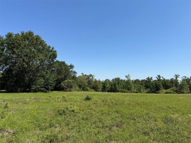 TBD Highway 75 South, Buffalo, TX 75831