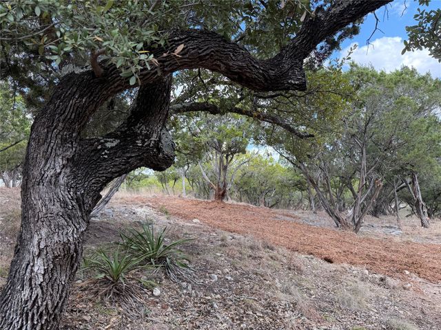 TBD Rancho Grande DR, Wimberley, TX 78676