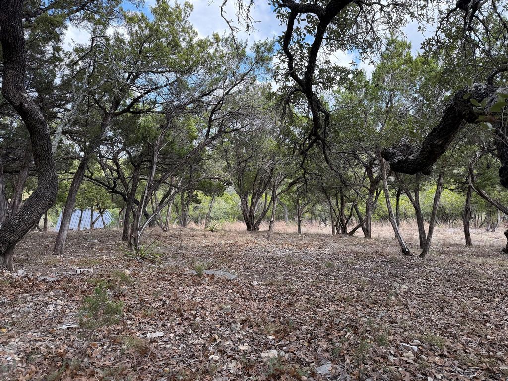 TBD Rancho Grande DR, Wimberley, TX 78676