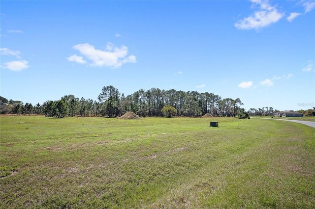 38514 WOODED MEADOW DRIVE, Umatilla, FL 32784