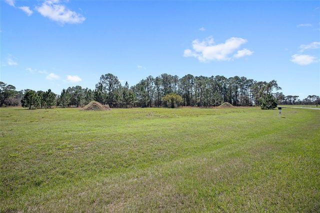 38514 WOODED MEADOW DRIVE, Umatilla, FL 32784