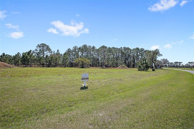 38514 WOODED MEADOW DRIVE, Umatilla, FL 32784