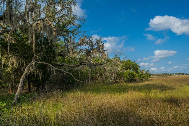 925 Edding Creek Drive, Edisto Island, SC 29438