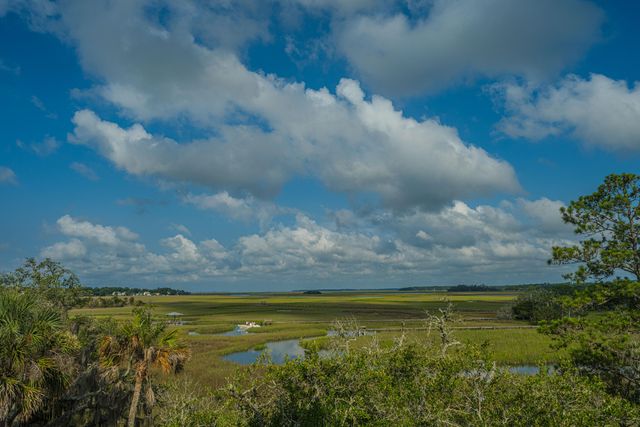 925 Edding Creek Drive, Edisto Island, SC 29438