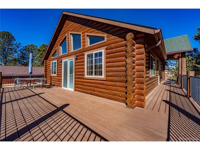 73 Big Horn Ln, Florissant, CO 80816