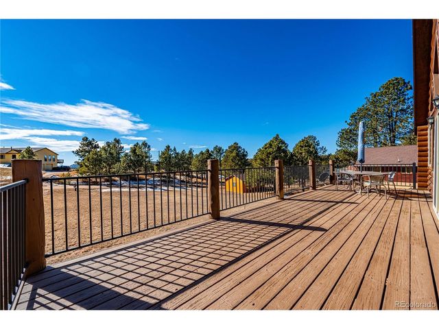 73 Big Horn Ln, Florissant, CO 80816