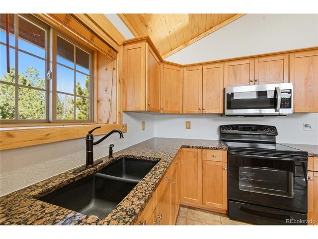 73 Big Horn Ln, Florissant, CO 80816