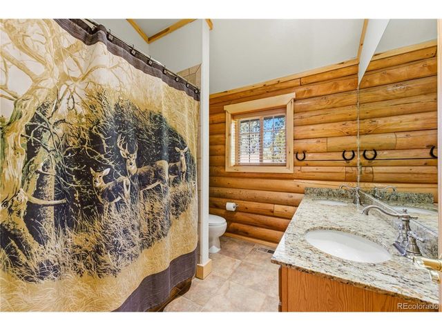 73 Big Horn Ln, Florissant, CO 80816