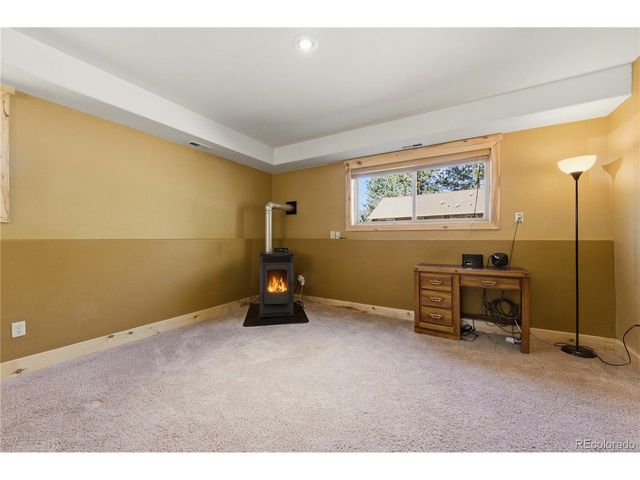 73 Big Horn Ln, Florissant, CO 80816