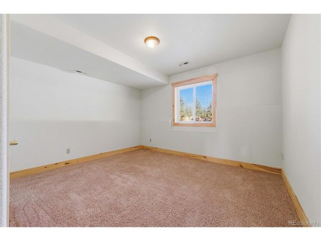 73 Big Horn Ln, Florissant, CO 80816