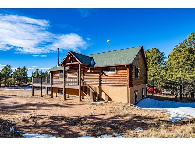 73 Big Horn Ln, Florissant, CO 80816
