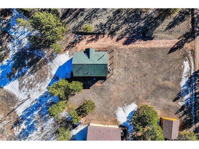 73 Big Horn Ln, Florissant, CO 80816