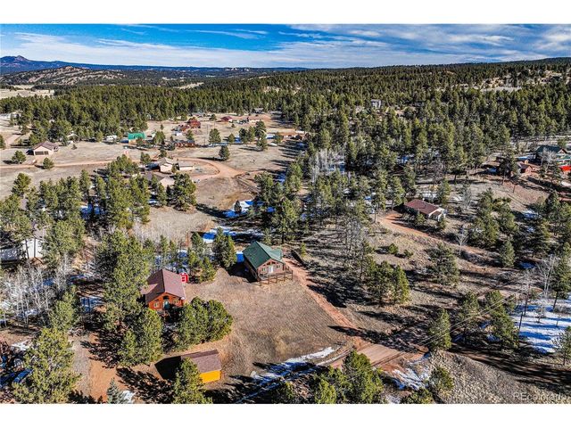 73 Big Horn Ln, Florissant, CO 80816