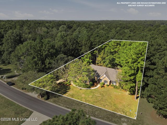 127 Cherry Oak Trail, Petal, MS 39465