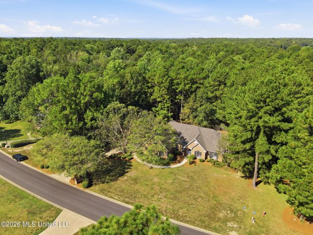 127 Cherry Oak Trail, Petal, MS 39465