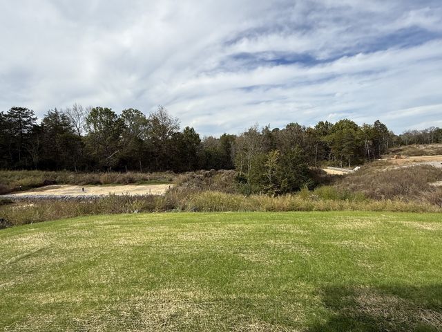 157 Emeline Way, Mount Juliet, TN 37122