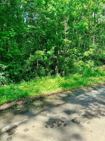0 Ferito, Buna, TX 77612
