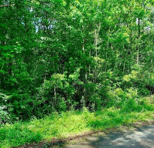 0 Ferito, Buna, TX 77612
