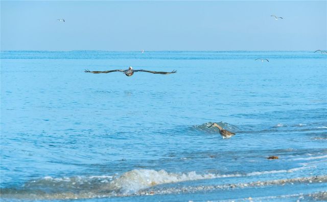 2255 N BEACH ROAD 20, Englewood, FL 34223