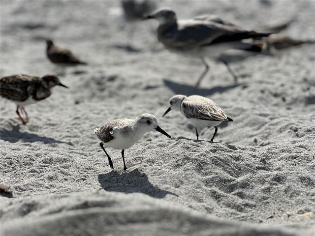 2255 N BEACH ROAD 20, Englewood, FL 34223