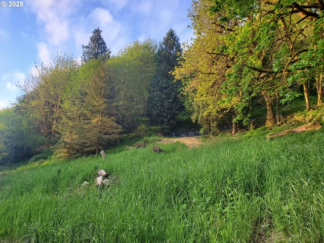Beaver Falls Rd, Clatskanie, OR 97016