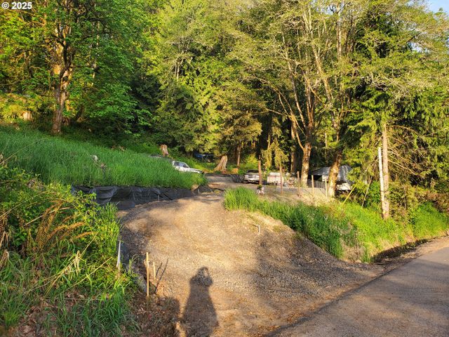 Beaver Falls Rd, Clatskanie, OR 97016