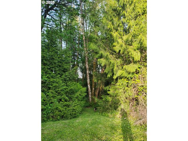 Beaver Falls Rd, Clatskanie, OR 97016