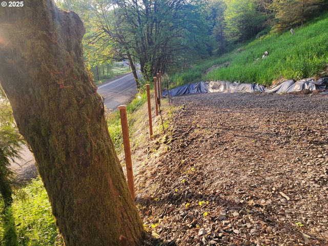 Beaver Falls Rd, Clatskanie, OR 97016