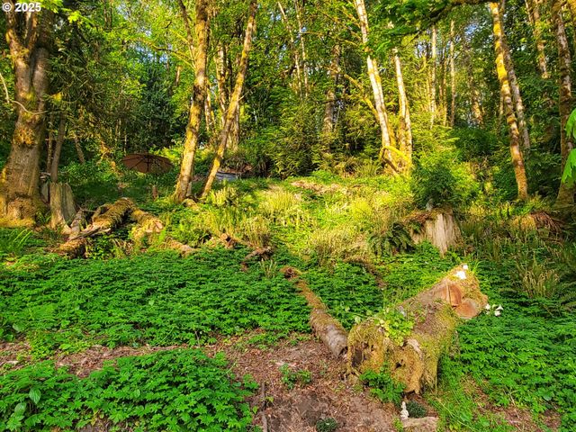 Beaver Falls Rd, Clatskanie, OR 97016