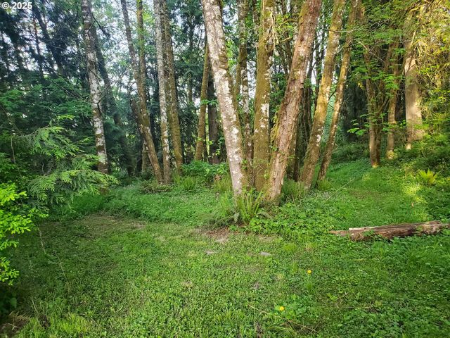 Beaver Falls Rd, Clatskanie, OR 97016