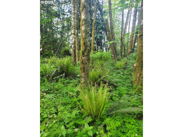 Beaver Falls Rd, Clatskanie, OR 97016