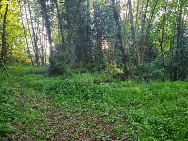 Beaver Falls Rd, Clatskanie, OR 97016