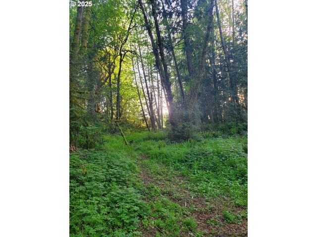 Beaver Falls Rd, Clatskanie, OR 97016