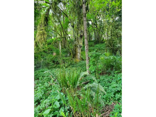 Beaver Falls Rd, Clatskanie, OR 97016