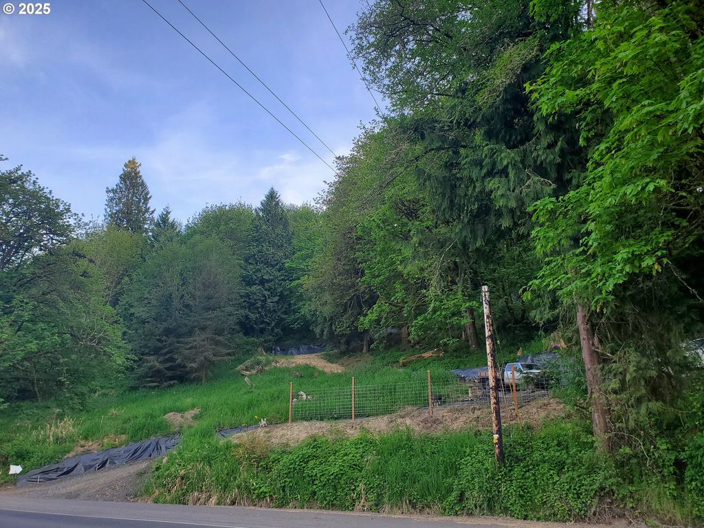 Beaver Falls Rd, Clatskanie, OR 97016