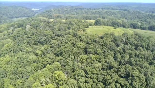 86 Ac County Road S, Gays Mills, WI 54631