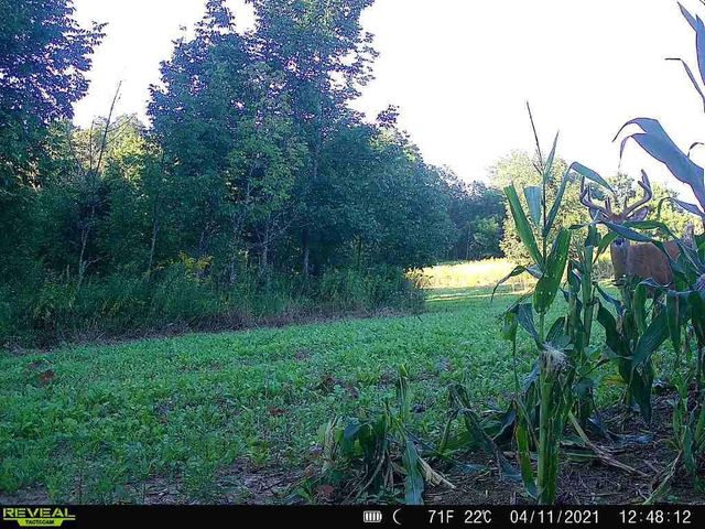 86 Ac County Road S, Gays Mills, WI 54631
