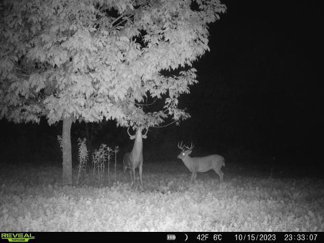 86 Ac County Road S, Gays Mills, WI 54631