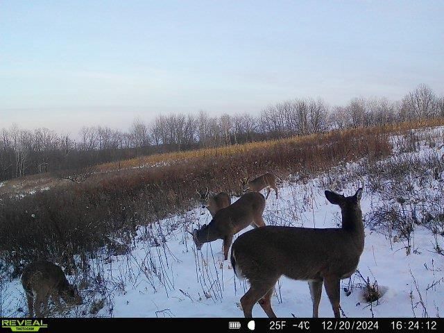 86 Ac County Road S, Gays Mills, WI 54631