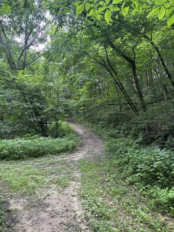 86 Ac County Road S, Gays Mills, WI 54631