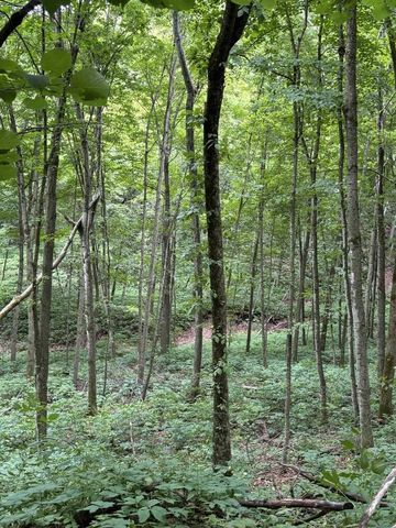 86 Ac County Road S, Gays Mills, WI 54631