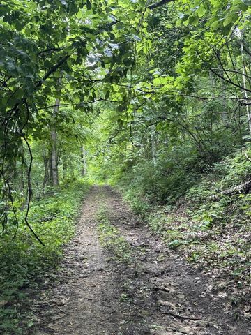 86 Ac County Road S, Gays Mills, WI 54631