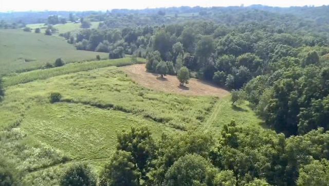 86 Ac County Road S, Gays Mills, WI 54631