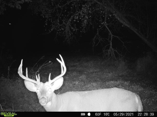 86 Ac County Road S, Gays Mills, WI 54631