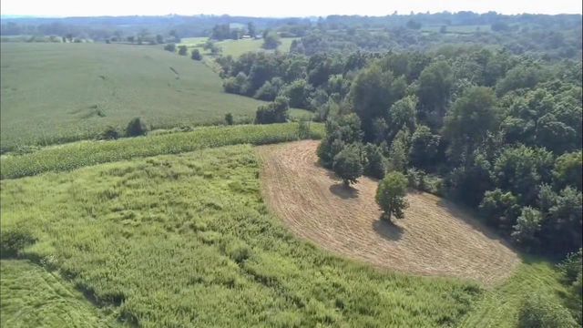 86 Ac County Road S, Gays Mills, WI 54631