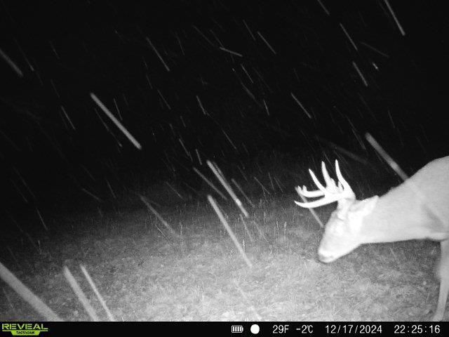 86 Ac County Road S, Gays Mills, WI 54631