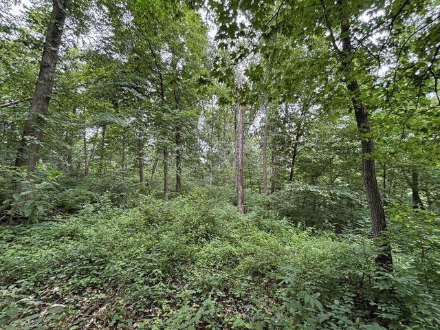 86 Ac County Road S, Gays Mills, WI 54631