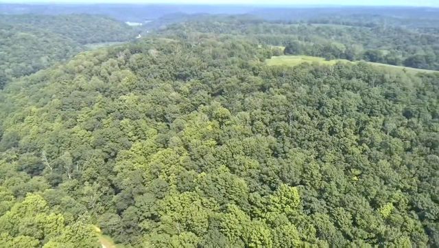 86 Ac County Road S, Gays Mills, WI 54631